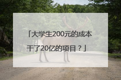 大学生200元的成本干了20亿的项目？